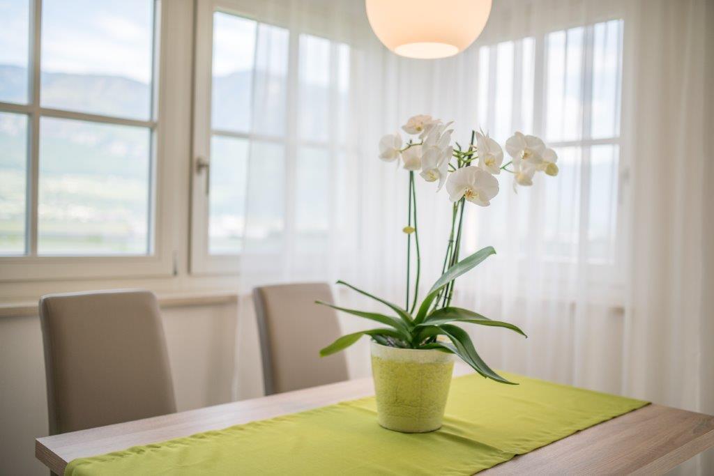 Gutshof Rellich Villa Termeno Eksteriør billede